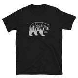 Silver Mountain Bear
